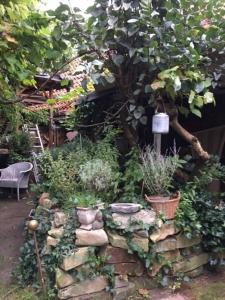 Garden sa labas ng Grosse Hobbithöhle mit Gemeinschaftsgarten