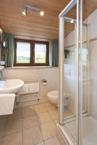 La salle de bains est pourvue de toilettes, d'un lavabo et d'une douche. dans l'établissement Salenberghof Ferienwohnung Traumblick, à Rieden