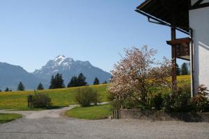 a road leading into a field with a mountain at Salenberghof Ferienwohnung Traumblick in Rieden am Forggensee