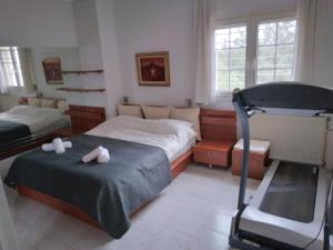 a bedroom with two beds and a treadmill at Villa in Panorama, Thessaloniki, with a swimming pool. Host: Mr. George in Thessaloniki