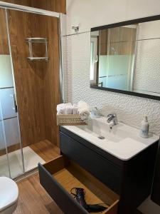 a bathroom with a sink and a toilet and a mirror at Alojamientos Robustiana in Santander