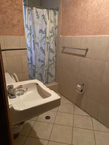een badkamer met een wastafel en een douchegordijn bij Blue house La Floresta in Quito