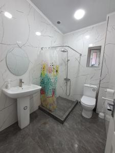 a bathroom with a shower and a sink and a toilet at КВАРТИРА 124 in Yerevan +9 photos