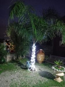 A garden outside Curti Russi