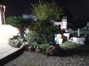 A garden outside Curti Russi