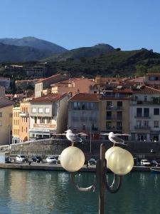 Fotografia z galérie ubytovania Loft du soleil, 1ère ligne, proche des criques et de Collioure v destinácii Port-Vendres