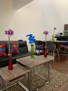 صورة لـ El Calvario Lofts في أنتيغوا غواتيمالا +31 صورة