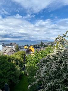 uma vista para uma cidade com árvores floridas e edifícios em Departamento con vista em San Carlos de Bariloche