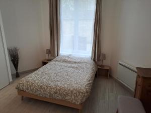 um quarto com uma cama e uma grande janela em Bel Appartement Grande Terrasse avec parking à Dijon em Dijon