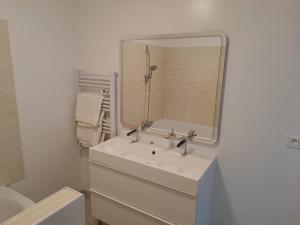een badkamer met een wastafel en een spiegel bij Bel Appartement Grande Terrasse avec parking à Dijon in Dijon