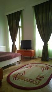 a bedroom with a bed and a tv and windows at M Central Apartments in Cluj-Napoca
