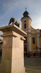 Gallery image of M Central Apartments in Cluj-Napoca