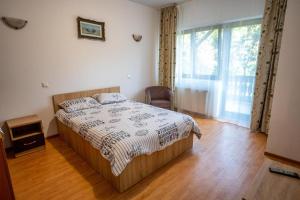 ein Schlafzimmer mit einem Bett und einem großen Fenster in der Unterkunft Pensiunea Sasha in Bîrnova