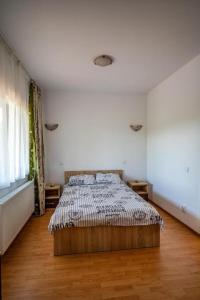 Postel nebo postele na pokoji v ubytování Pensiunea Sasha
