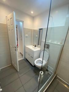een badkamer met een wit toilet en een wastafel bij Double D Apartments in Lupeni
