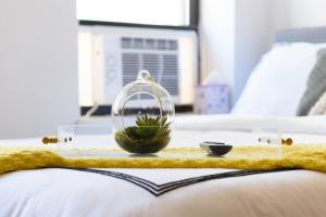 a glass bowl with a plant in it on a bed at 24-16 Studio Gramercy W D gramercy in New York