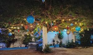 Um jardim em Blue Coconut Cancun Hotel