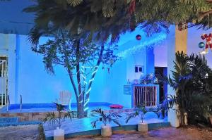 Um jardim em Blue Coconut Cancun Hotel
