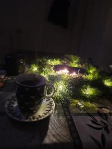 a cup of coffee on a plate next to a christmas tree at Mace MM :) in Šabac