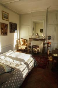 a bedroom with a large bed and a fireplace at Château de Bouillancourt en Sery in Bouillancourt-en-Séry