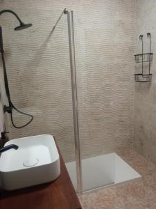 a shower with a glass door in a bathroom at SEÑORÍO DE ORGAZ II in Toledo