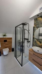 Kúpeľňa v ubytovaní Apartamenty Bujaki Ustroń + 25 fotografií
