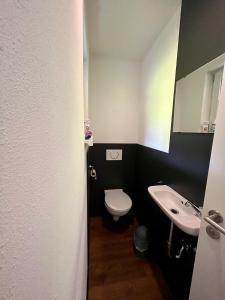 uma pequena casa de banho com WC e lavatório em Zauberhaftes Waldhaus em Blaubeuren