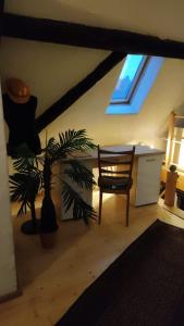 a room with a table and a chair and a plant at Apartment Hofheimer Altstadt in Hofheim am Taunus