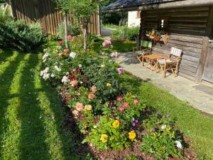 瓦格赖恩Oberleiten Apartments的相册照片