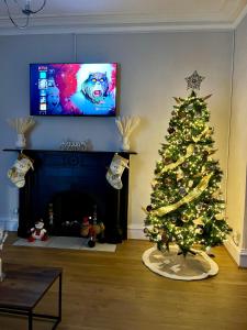 - un arbre de Noël dans un salon avec une télévision dans l'établissement 57 Main Street Newcastle Luxury Central Apartment, à Newcastle