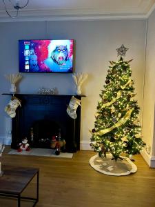 einen Weihnachtsbaum in einem Wohnzimmer mit einem TV in der Unterkunft 57 Main Street Newcastle Luxury Central Apartment in Newcastle
