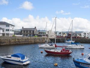 a group of boats are docked in a harbor at Morfa Lodge in Porthmadog