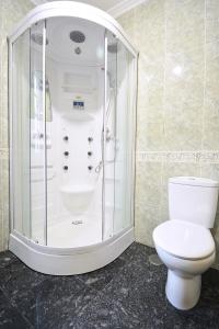 ein Bad mit einer Dusche und einem WC in der Unterkunft Apartamento da Pedra e da Auga in Meis