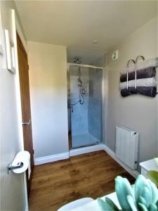 a bathroom with a shower with a glass door at The Garden Room - Nature Stay in Suckley