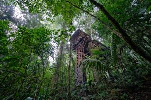 un bâtiment au milieu d'une forêt d'arbres dans l'établissement Maquenque Ecolodge, à Boca Tapada