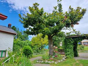 ein Baum in einem Garten neben einem Haus in der Unterkunft Cabañas Casona Italiana in Lago Ranco