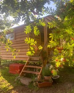 uma pequena casa com uma escada de madeira no quintal em Birkenshaw - Beautiful Shepherd’s Hut in the Highlands. em Dornoch