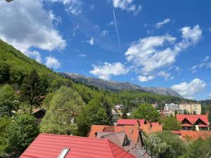 a view of a town with mountains in the background at Mountain View in Sinaia