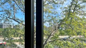 Vonkajšia záhrada v ubytovaní MD Modern Hotel - Jardines