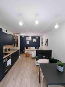 a room with a kitchen and a living room at Le Bon Quai in Grenoble +12 photos