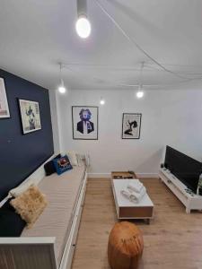 ein Wohnzimmer mit einem Sofa und einem Basketball in der Unterkunft Le Bon Quai in Grenoble