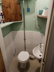 ein kleines Bad mit WC und Waschbecken in der Unterkunft City centre Flat - sleep upto 4 in Edinburgh