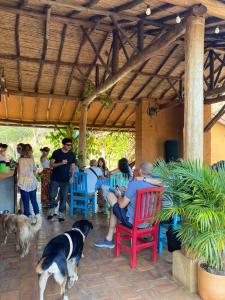 um grupo de pessoas sentadas em cadeiras vermelhas e um cão em NOMAD Hostal - Barichara em Barichara