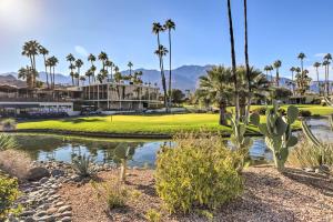 un parcours de golf avec des palmiers et un étang dans l'établissement Palm Springs Home in Seven Lakes Country Club, à Palm Springs