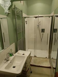 ein Bad mit einem Waschbecken und einer Dusche mit einer Dusche in der Unterkunft City centre Flat - sleep upto 4 in Edinburgh