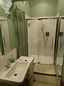 a bathroom with a sink and a shower with a shower at City centre Flat - sleep upto 4 in Edinburgh