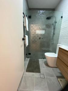 a bathroom with a toilet and a glass shower at Secret at Sussex Inlet Units in Sussex inlet