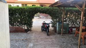 ein Motorrad unter einer Hecke neben einem Gebäude geparkt in der Unterkunft Sunny sea in Al-Qusair