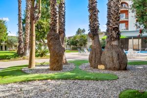a group of palm trees in a park at Golden Sails Hotel in Long Beach