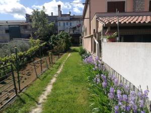 a garden with purple flowers next to a building at Appartameno Calnova in Vodnjan